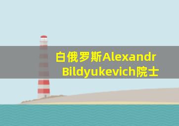 白俄罗斯Alexandr Bildyukevich院士